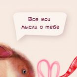 Маленькое фото 4: Мини-открытка «Все мои мысли о тебе (зайка)», 7,5х9,5 см