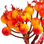 Маленькое фото 5: Набор искусственных веток с ягодами на вставках 5шт., H13 см, оранжевый
