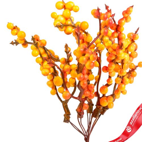 Фото 2: Набор искусственных веток с ягодами на вставках 5шт., H17 см, оранжевый