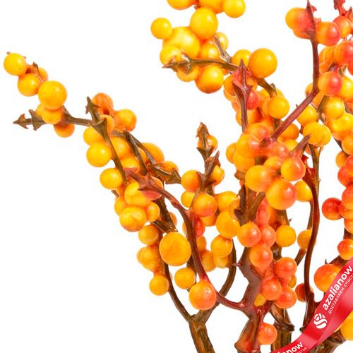 Фото 4: Набор искусственных веток с ягодами на вставках 5шт., H17 см, оранжевый