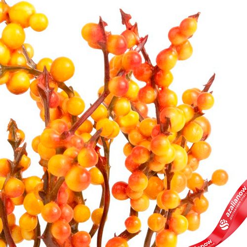 Фото 5: Набор искусственных веток с ягодами на вставках 5шт., H17 см, оранжевый