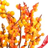Маленькое фото 5: Набор искусственных веток с ягодами на вставках 5шт., H17 см, оранжевый
