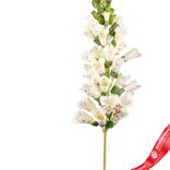 Маленькое фото 2: Наперстянка искусственная (пластик), 80см, белый