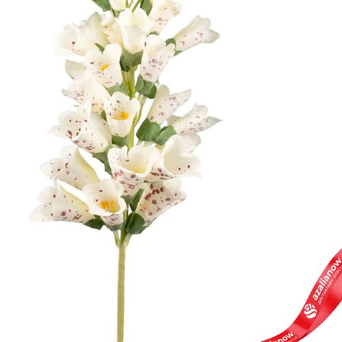 Фото 3: Наперстянка искусственная (пластик), 80см, белый