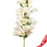 Маленькое фото 4: Наперстянка искусственная (пластик), 80см, белый