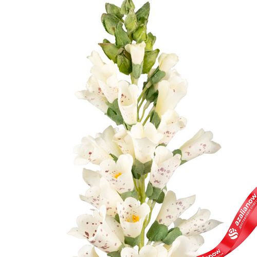 Фото 5: Наперстянка искусственная (пластик), 80см, белый