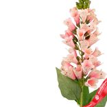 Маленькое фото 4: Наперстянка искусственная (пластик), 82см, розовый