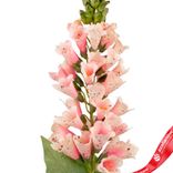 Маленькое фото 5: Наперстянка искусственная (пластик), 82см, розовый