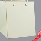 Маленькое фото 5: Пакет для цветов, водостойкий (крафт), 13х12,5х15см, слоновая кость