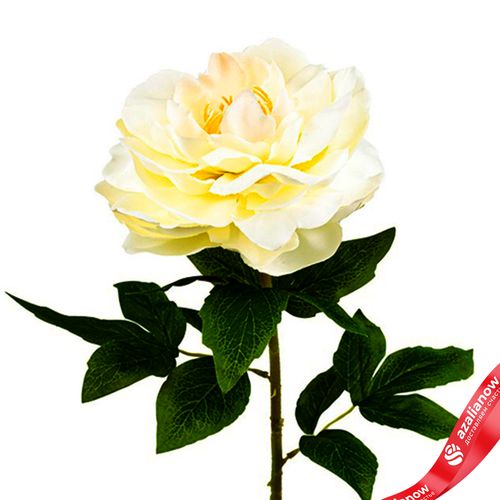 Фото 4: Пион искусственный (пластик), 71см, белый