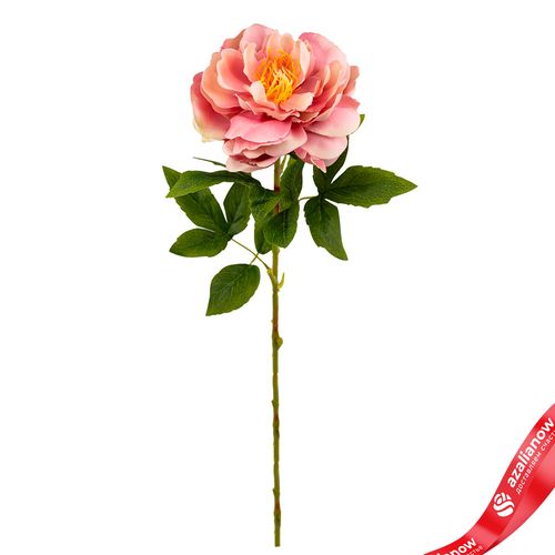 Пион искусственный (пластик), 71см, персиковый