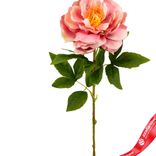 Маленькое фото 2: Пион искусственный (пластик), 71см, персиковый