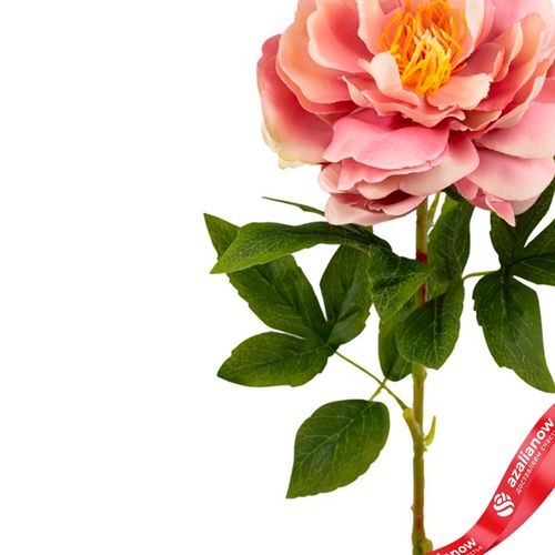 Фото 4: Пион искусственный (пластик), 71см, персиковый