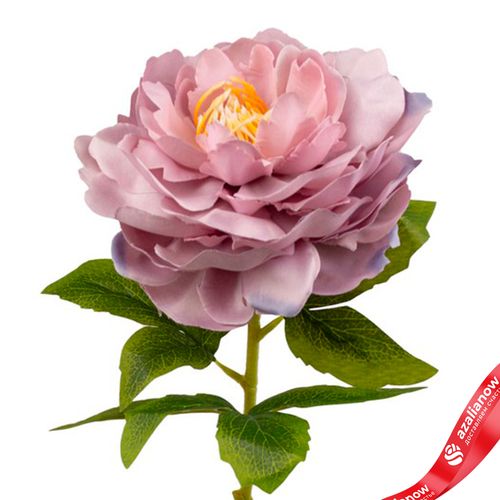 Фото 5: Пион искусственный (пластик), 71см, розовый