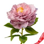 Маленькое фото 5: Пион искусственный (пластик), 71см, розовый