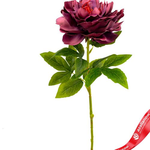 Фото 2: Пион искусственный (пластик), 71см, темно-розовый