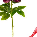 Маленькое фото 3: Пион искусственный (пластик), 71см, темно-розовый