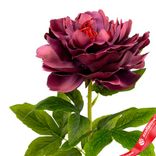 Маленькое фото 5: Пион искусственный (пластик), 71см, темно-розовый