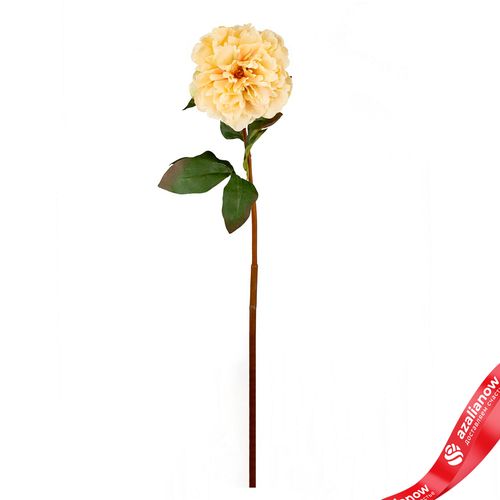 Пион искусственный (пластик), 75см, белый