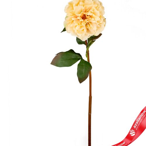 Фото 2: Пион искусственный (пластик), 75см, белый