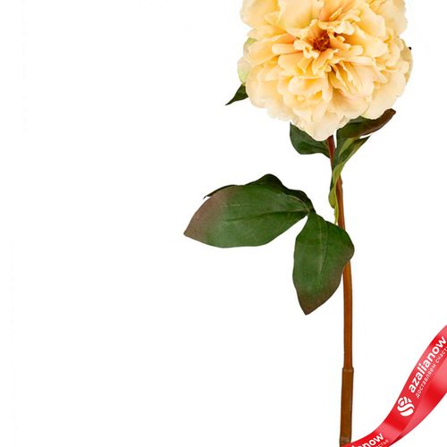 Фото 3: Пион искусственный (пластик), 75см, белый