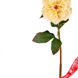 Маленькое фото 3: Пион искусственный (пластик), 75см, белый