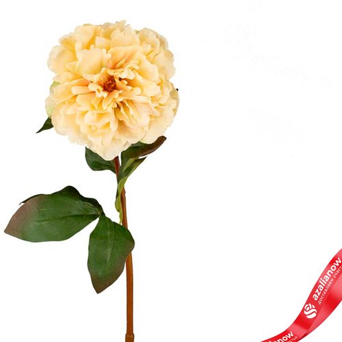 Фото 4: Пион искусственный (пластик), 75см, белый