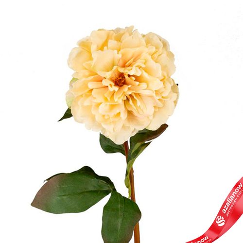 Фото 5: Пион искусственный (пластик), 75см, белый