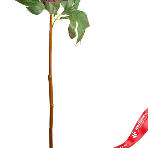 Фото 3: Пион искусственный (пластик), 75см, фиолетовый