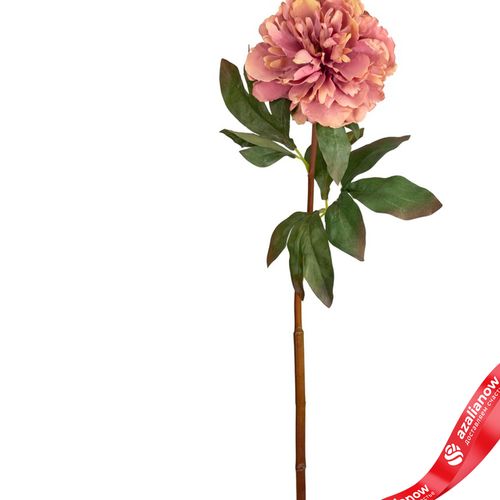 Фото 2: Пион искусственный (пластик), 75см, розовый