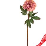 Маленькое фото 2: Пион искусственный (пластик), 75см, розовый