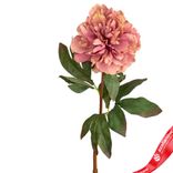 Маленькое фото 4: Пион искусственный (пластик), 75см, розовый