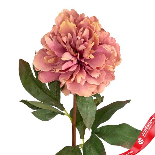 Фото 5: Пион искусственный (пластик), 75см, розовый