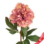 Маленькое фото 5: Пион искусственный (пластик), 75см, розовый