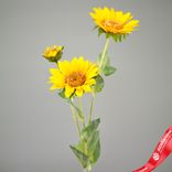 Маленькое фото 1: Подсолнух искусственный (пластик), 64см, желтый