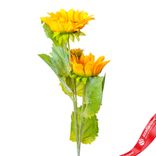 Маленькое фото 1: Подсолнух искусственный (пластик), 80см, желтый