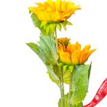 Маленькое фото 2: Подсолнух искусственный (пластик), 80см, желтый