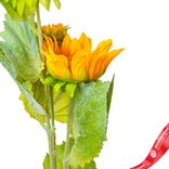 Маленькое фото 3: Подсолнух искусственный (пластик), 80см, желтый