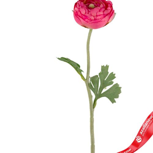 Фото 2: Ранункулюс искусственный (пластик), 50см, розовый