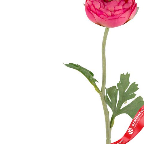 Фото 4: Ранункулюс искусственный (пластик), 50см, розовый