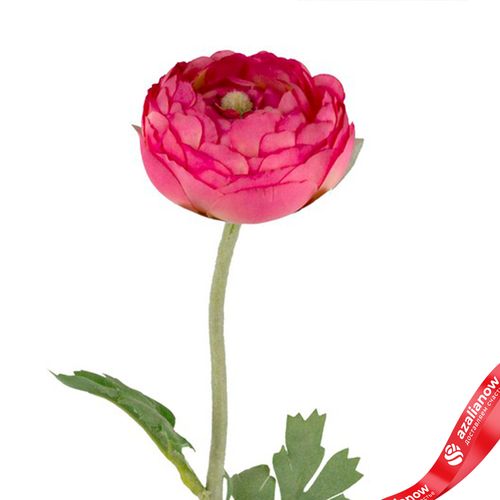 Фото 5: Ранункулюс искусственный (пластик), 50см, розовый