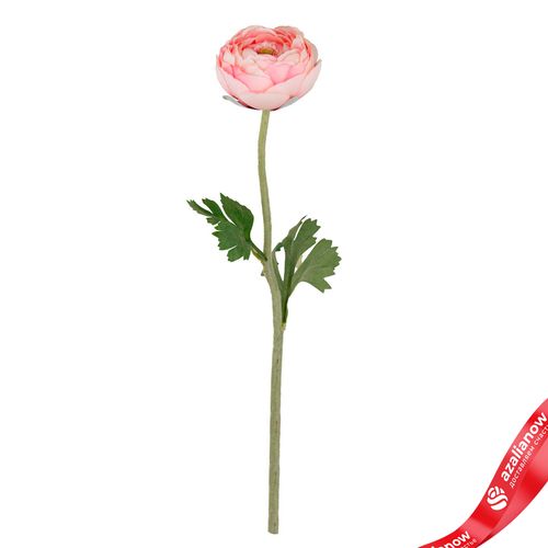 Ранункулюс искусственный (пластик), 50см, светло-розовый