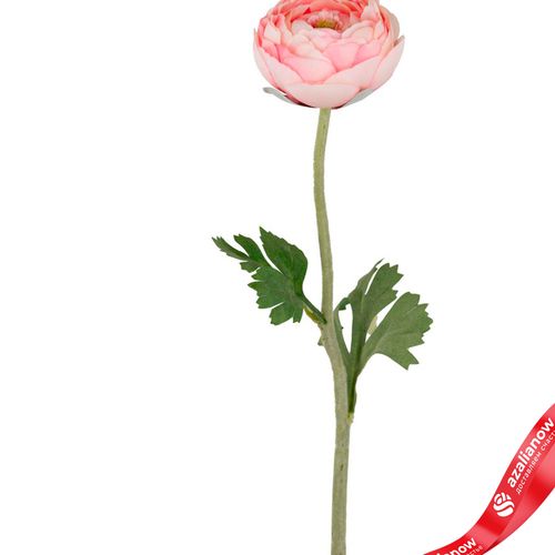 Фото 2: Ранункулюс искусственный (пластик), 50см, светло-розовый