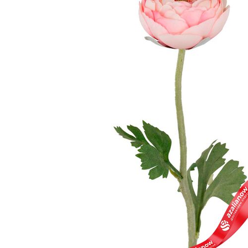 Фото 4: Ранункулюс искусственный (пластик), 50см, светло-розовый