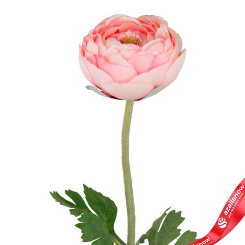 Фото 5: Ранункулюс искусственный (пластик), 50см, светло-розовый