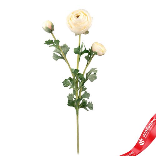 Ранункулюс искусственный (пластик), 73см, кремовый