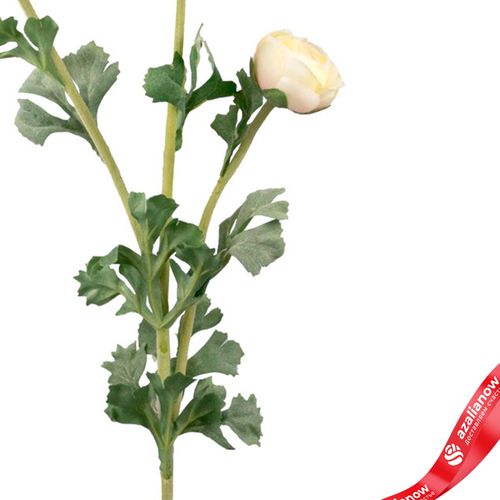 Фото 3: Ранункулюс искусственный (пластик), 73см, кремовый