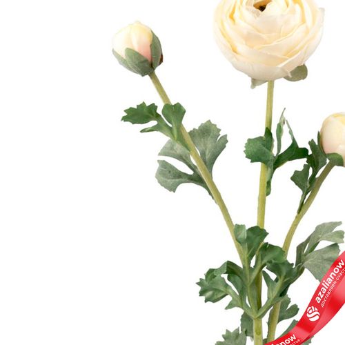 Фото 4: Ранункулюс искусственный (пластик), 73см, кремовый