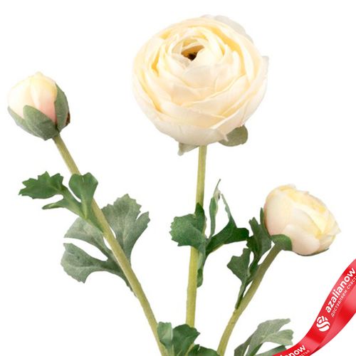 Фото 5: Ранункулюс искусственный (пластик), 73см, кремовый