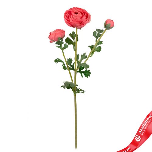 Ранункулюс искусственный (пластик), 73см, розовый